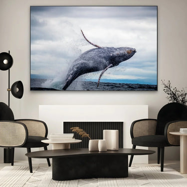 Quadro Stampa su Tela Volo Marino - CupidoDesign