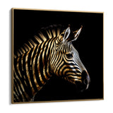 Arany Zebra