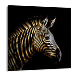 Golden Zebra