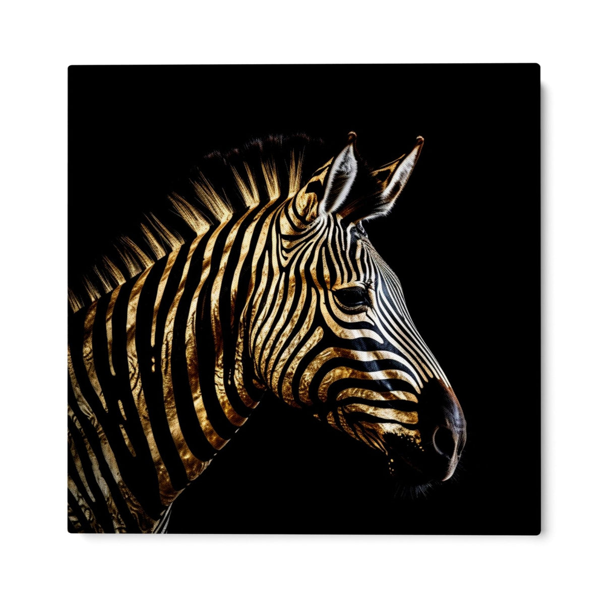 Gyllene zebra