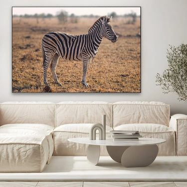 Quadro Stampa su Tela Zebra Maestosa - CupidoDesign