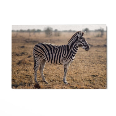 Quadro Stampa su Tela Zebra Maestosa - CupidoDesign