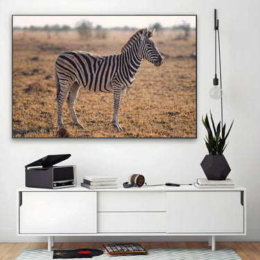 Quadro Stampa su Tela Zebra Maestosa - CupidoDesign